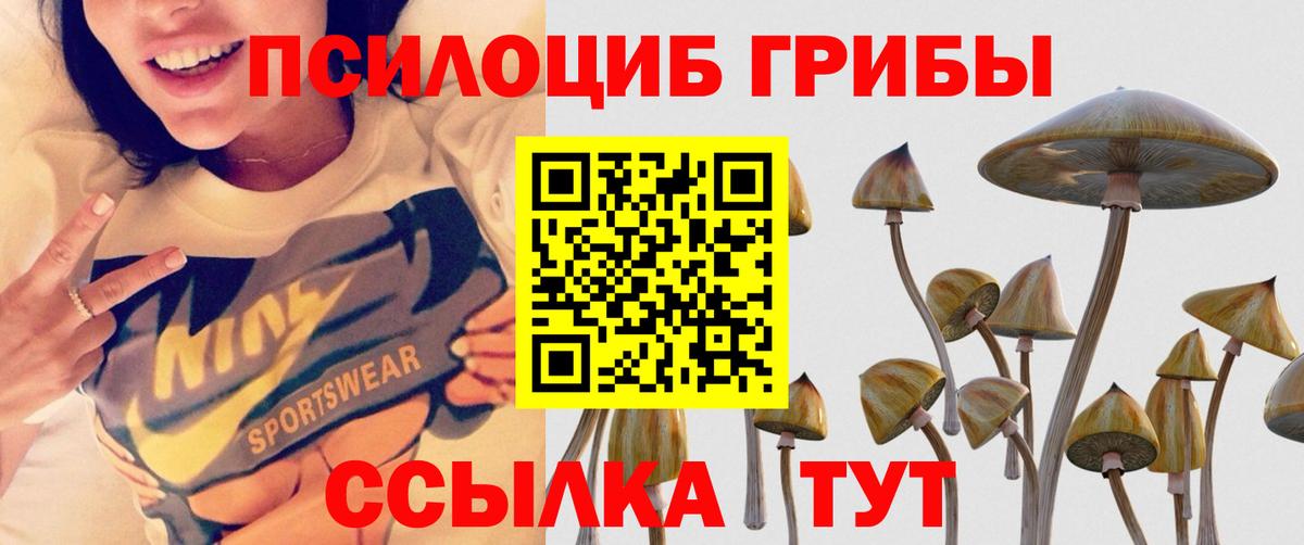купить  сайты  Псилоцибиновые грибы Psilocybine cubensis  Вход с VPN  Калининград  Галлюциногенные грибы мицелий 